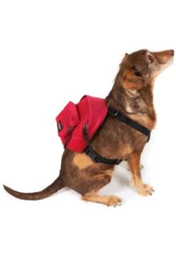 Eastpak DOG PAK'R - Tierbedarf - Sailor Red -Eastpak 0ed4b2ad2f394ed6b4d4cdbca649cafd 1