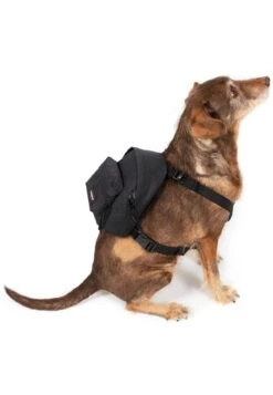Eastpak DOG PAK'R - Tierbedarf - Black 13 Eastpak DOG PAK'R - Tierbedarf - Black -Eastpak 622322c82a4444e9b0412d539074de77 1