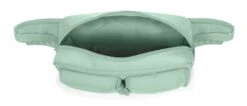 Eastpak Bumbag Double Calm Green 7 Eastpak Bumbag Double Calm Green -Eastpak EASTPAK Bumbag Double Calm Green 325132 1
