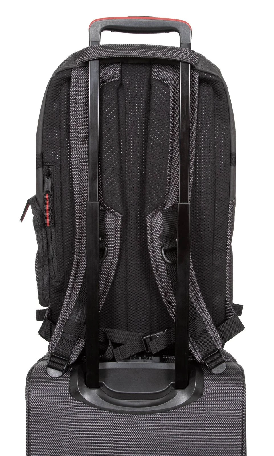 Eastpak Tecum L Cnnct Accent Grey 7 Eastpak Tecum L Cnnct Accent Grey – Bild 5